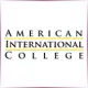 American International College - Art School Ranking