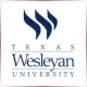 Texas Wesleyan University - Art School Ranking